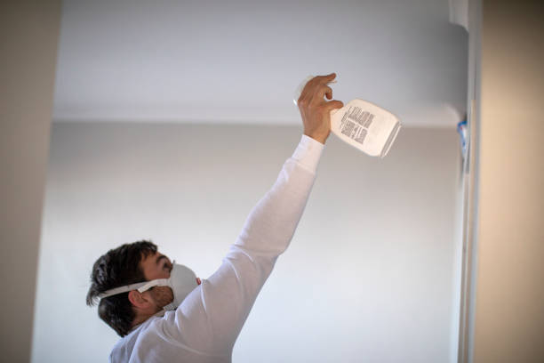 Best Best Mold Removal Companies  in Park River, ND
